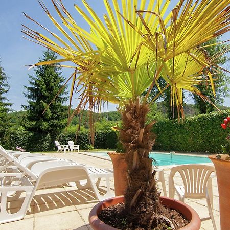 Appealing Apartment In Vezac With Swimming Pool Beynac-et-Cazenac Buitenkant foto