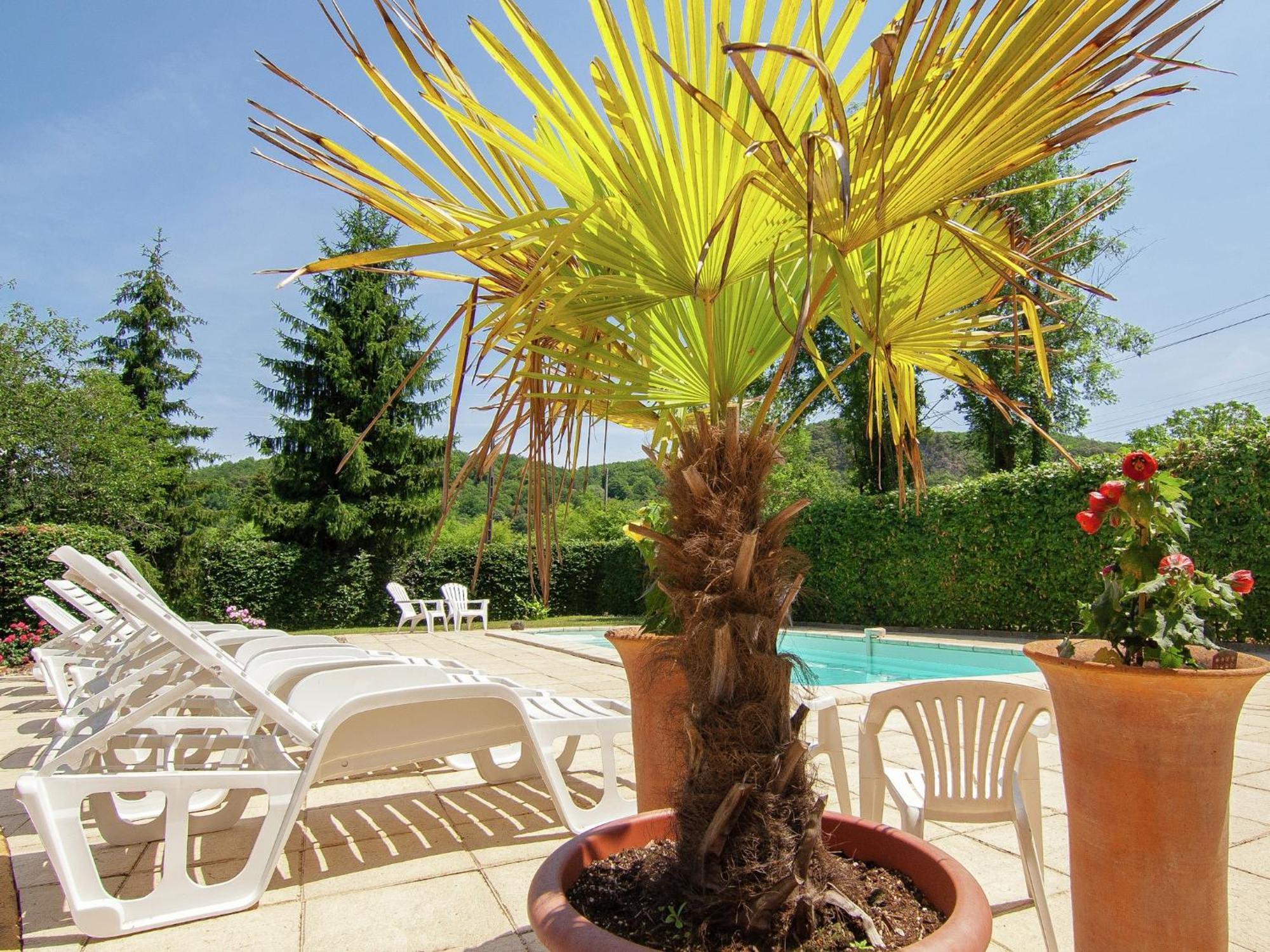 Appealing Apartment In Vezac With Swimming Pool Beynac-et-Cazenac Buitenkant foto